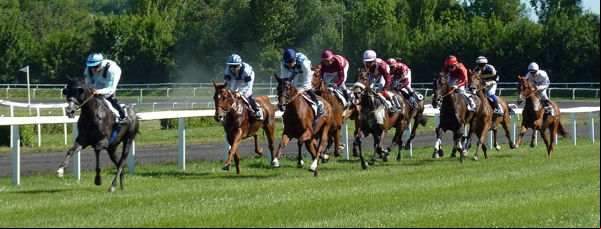 horse race
