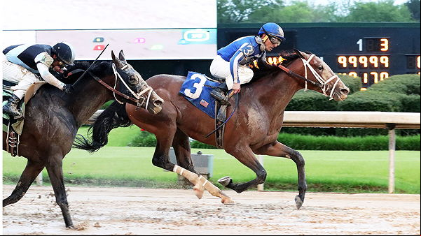 Horse Race
