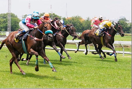 horse race