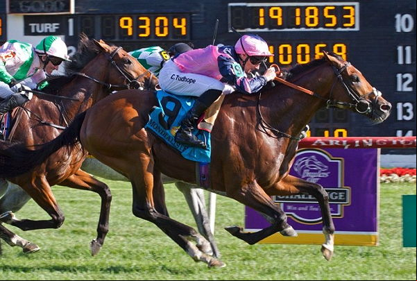 horse race