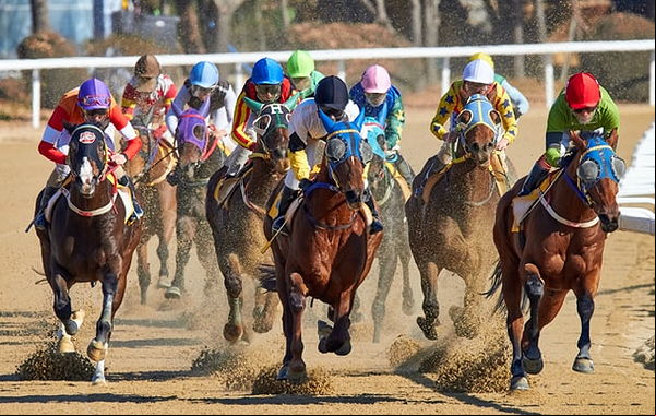 Horse Race