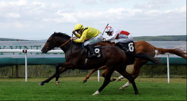horse race