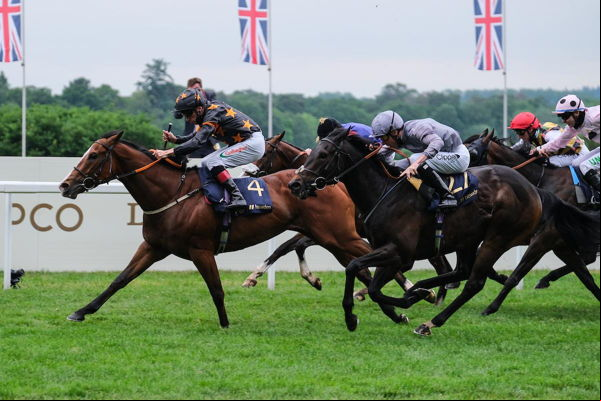 Horse Race