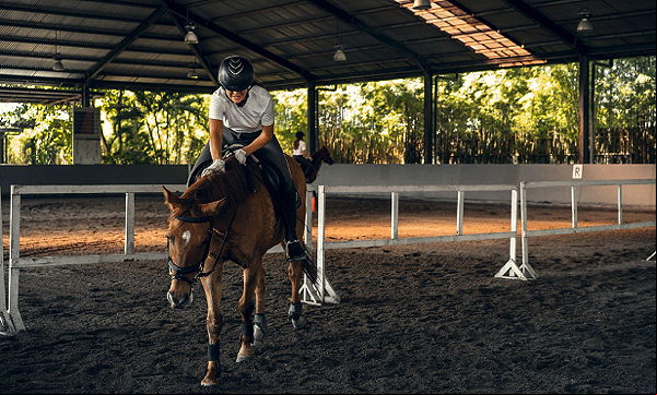 horse trainer