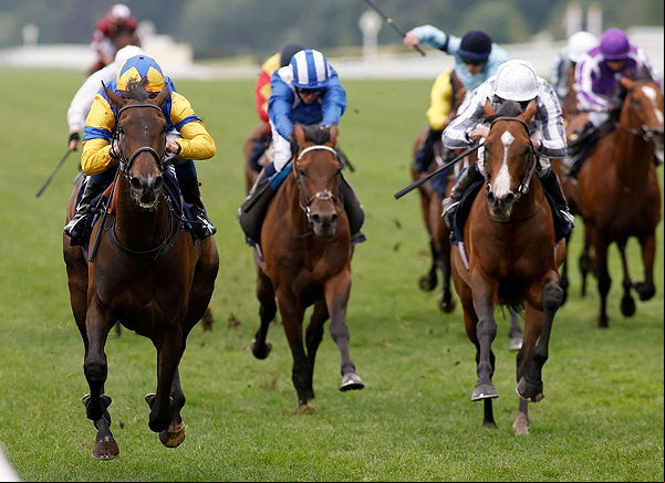 horse racing