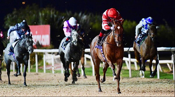 horse racing