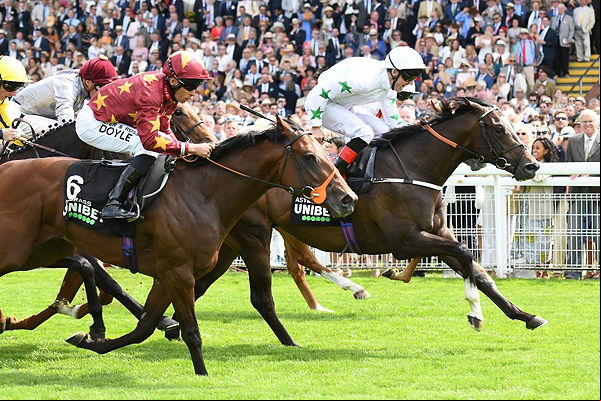 horse race