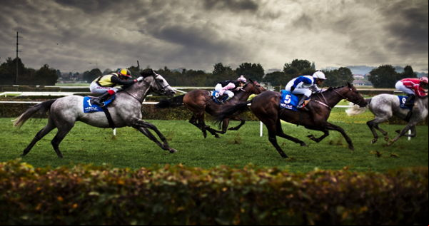 horse race
