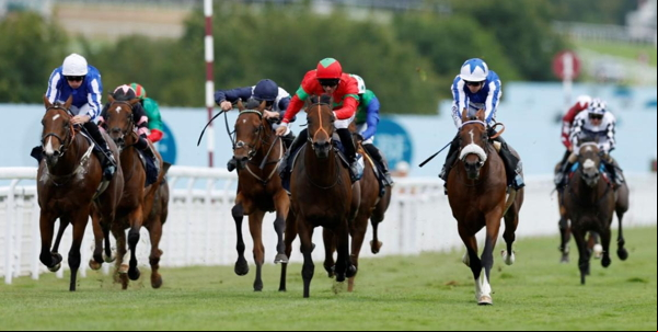 horse racing 