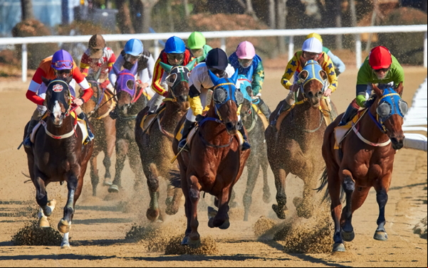 horse racing