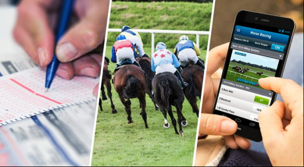 bet on horses