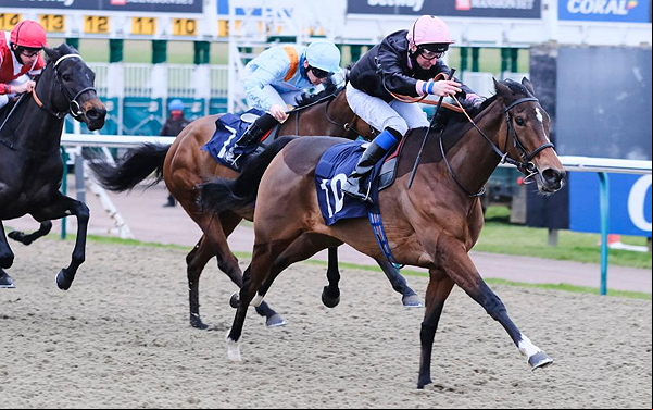 horse race
