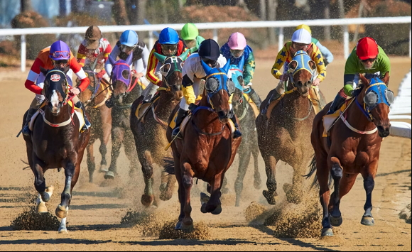 horse race