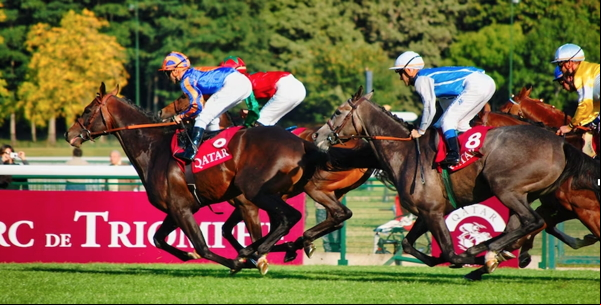 horse race