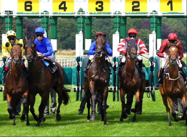 horse race