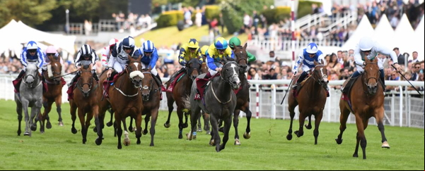 Horse race