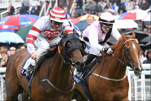 Horses racing