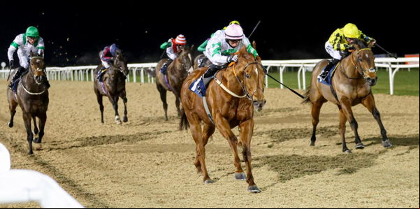 horse race track