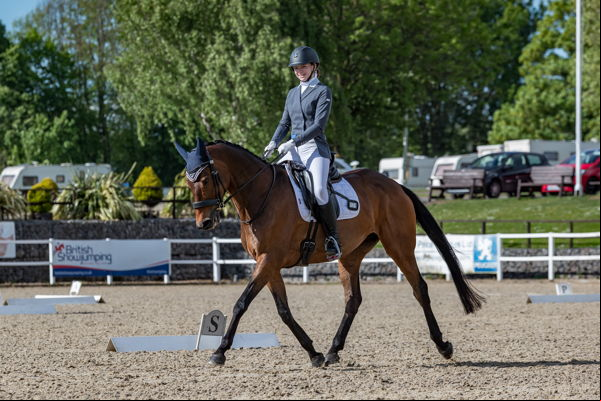 dressage horse