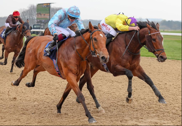 Horse racing