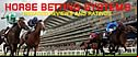 Horse Betting Systems