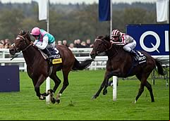 Frankel wins from Cirrus Des Aigles