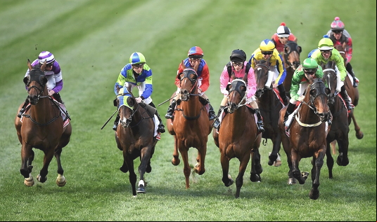 melbourne cup