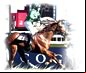 Grand National Sweep