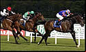 high chaparral