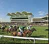 UltimateBet.com Guineas Festival