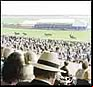 newmarket