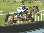 Moscow Flyer