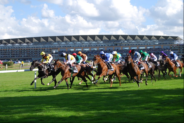 Horse race