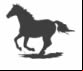 Horse Searchers