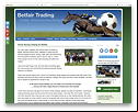 Betfair Racing Trading