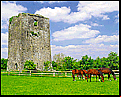 Coolmore Stud