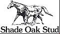 Shade oak Stud