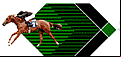 Diamond racing