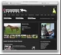 OnToAWinner Syndicate
