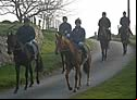 Hall Farm Racing
